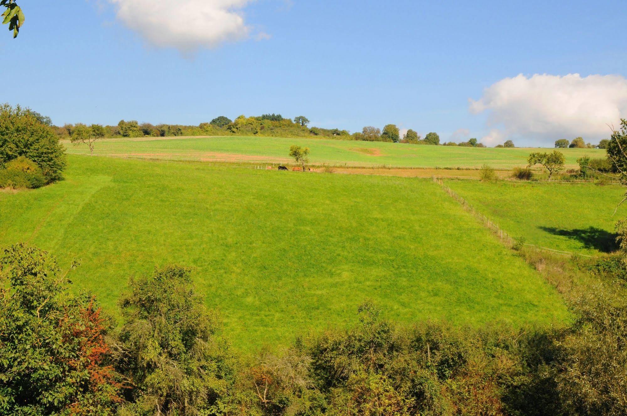 Landgasthof Germania Рюдесхайм ам Рейн Екстериор снимка